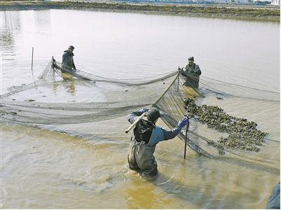 探索水产养殖绿色健康发展之路 余姚获评首批 省级渔业健康养殖示范县
